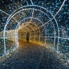 Garden of Lights Budapesten a Fűvészkertben! Jegyek itt!