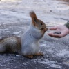 Mókaliget néven mókus- és madárpark nyílt Budapesten!